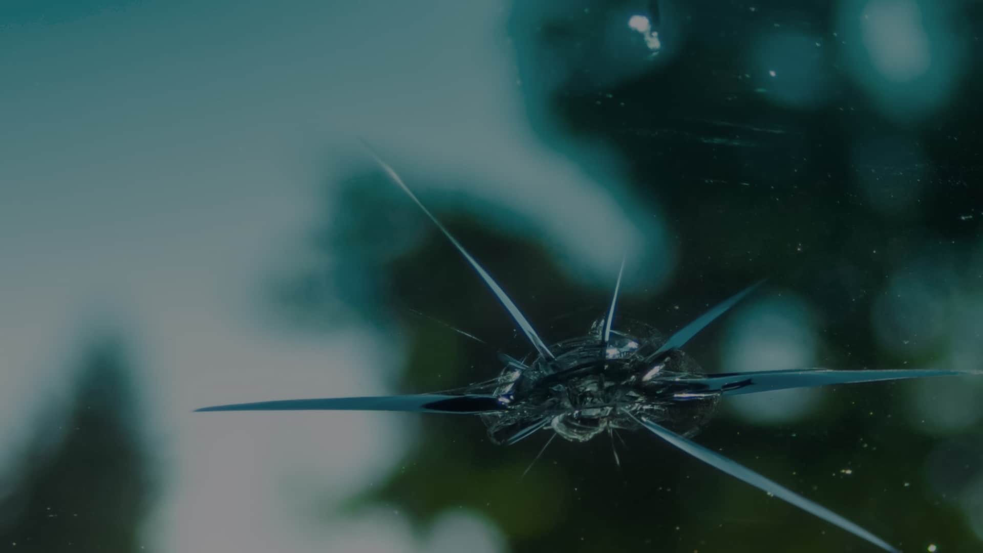 Windshield Chip Repair